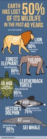 Earth has lost 50% of it's wildlife in the past 40 years.