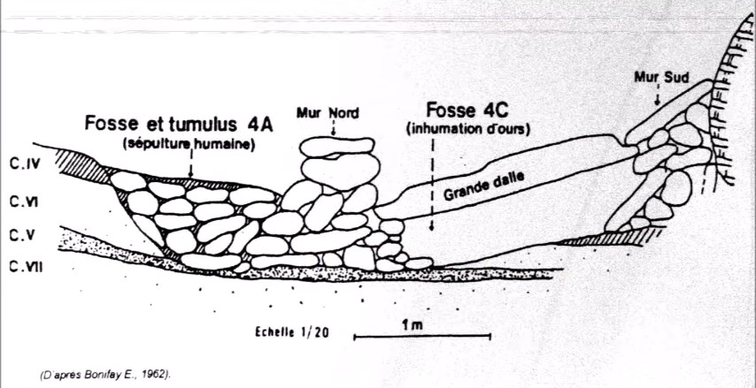 The clue here is 'Bear Cult'. Here from a 75.000 year-old Neanderthal grave in France. PS. A bear buried with a man.